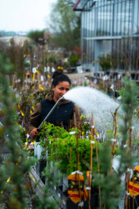 Garten Reiter